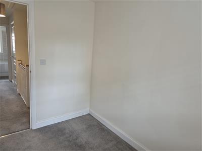 Picture 29